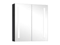Bathroom cabinet with LED mirror 62x14x60 cm SPQW03985